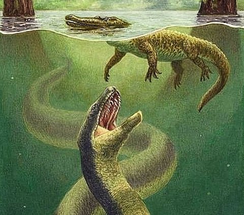 Viral Video of the Appearance of the Giant Snake Titanoboa in the Rainforest, Many are Curious about its Shape, Here are the Facts