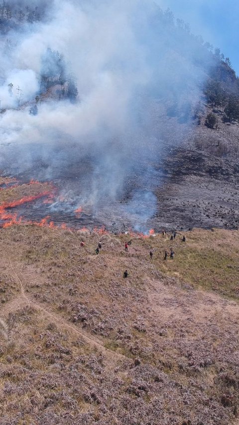 Kebakaran Hutan di Kawasan Bromo Belum Padam Meski Sudah 12 Jam Lebih, Ini Kondisi Terkini<br>