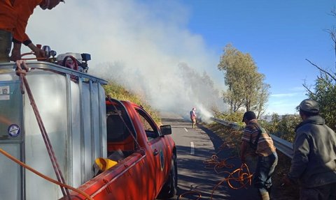 Kebakaran Hutan di Kawasan Bromo Belum Padam Meski Sudah 12 Jam Lebih, Ini Kondisi Terkini