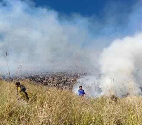 Kebakaran Hutan di Kawasan Bromo Belum Padam Meski Sudah 12 Jam Lebih, Ini Kondisi Terkini