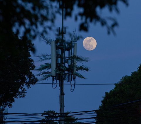 Setelah sebelumnya, ada fenomena Super Sturgeon Moon pertama terjadi pada 1 Agustus 2023, fenomena itu kembali terjadi dengan menampakan Super Blue Moon atau Bulan Biru baru pada akhir Agustus atau tepatnya pada hari Rabu (30/8/2023).