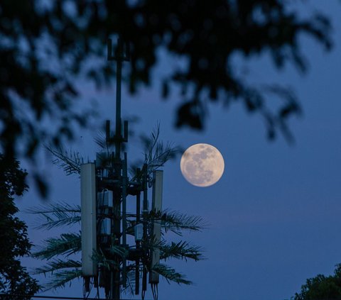 Fenomena Super Blue Moon ini menjadi fenomena penampakan Bulan Purnama paling terang sepanjang tahun 2023.