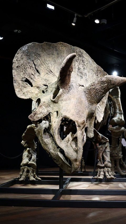 Berapa Banyak Fosil Dinosaurus yang Belum Terungkap? Ini Kata Ilmuwan <br>
