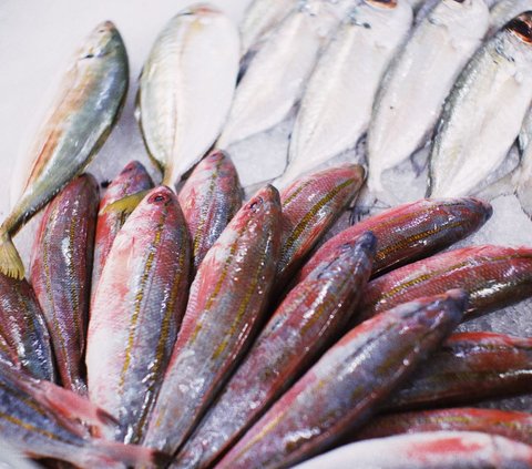 Konsumsi makanan kita setiap hari penting untuk diperhatikan kandungan nutrisinya. Hal ini termasuk asupan protein yang kita konsumsi sehari-hari.