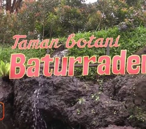 Berkunjung ke Taman Botani Baturraden, Wisata Edukasi yang Mengoleksi 700 Jenis Tanaman
