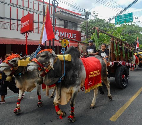 Mereka berjalan sejauh 4 km dan juga membawa hasil bumi berupa pertanian dan perkebunan yang ditarik oleh beberapa ekor hewan ternak seperti sapi.<br><br>Kegiatan ini digelar untuk tujuan melestarikan nilai budaya leluhur.