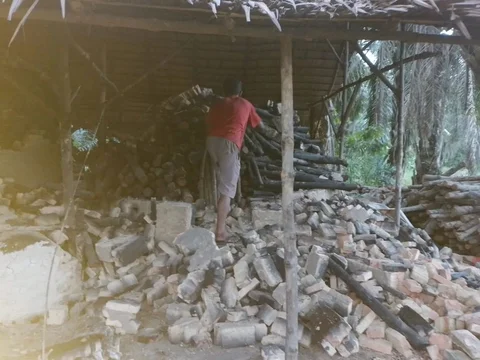 Polda Sumut Sikat Habis Pembalak Mangrove, Pemilik Dapur Arang Lakukan Ini