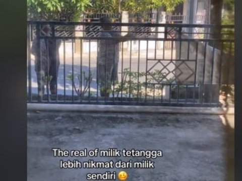 Ada-ada Saja Kelakuan Tetangga, Wanita Ini Curhat Buah Pepaya Miliknya Habis diambil Tanpa Izin, Langsung dipanen dari Pohonnya