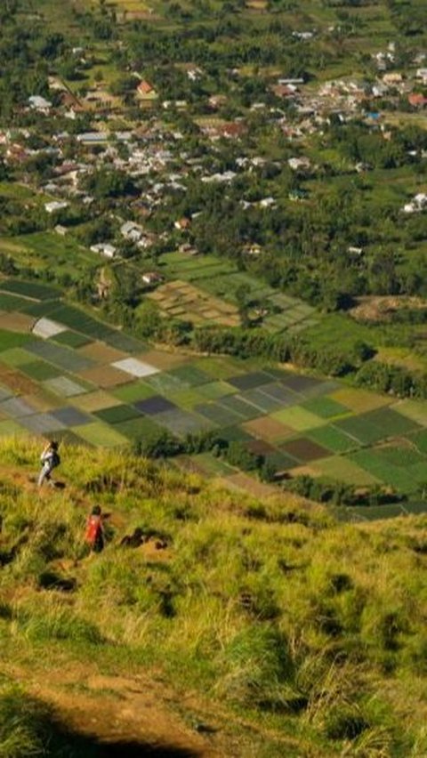 4. Bukit Pergasingan