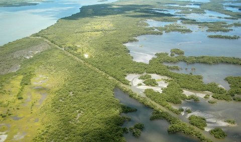 Ujung selatan Florida telah dijelaskan oleh Unesco sebagai 