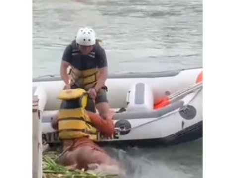 So Sweet, Kisah Wanita Hampir Tenggelam saat Main Arung Jeram, Ditolong Pria Ujungnya Begini