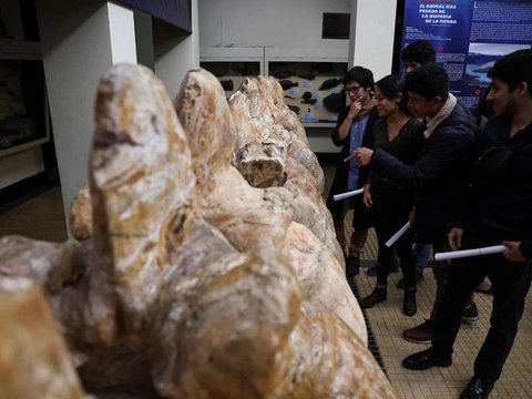 FOTO: Penemuan Fosil Paus Purba yang Hidup 40 Juta Tahun Lalu, Lokasinya Ada di Tengah Gurun Pasir