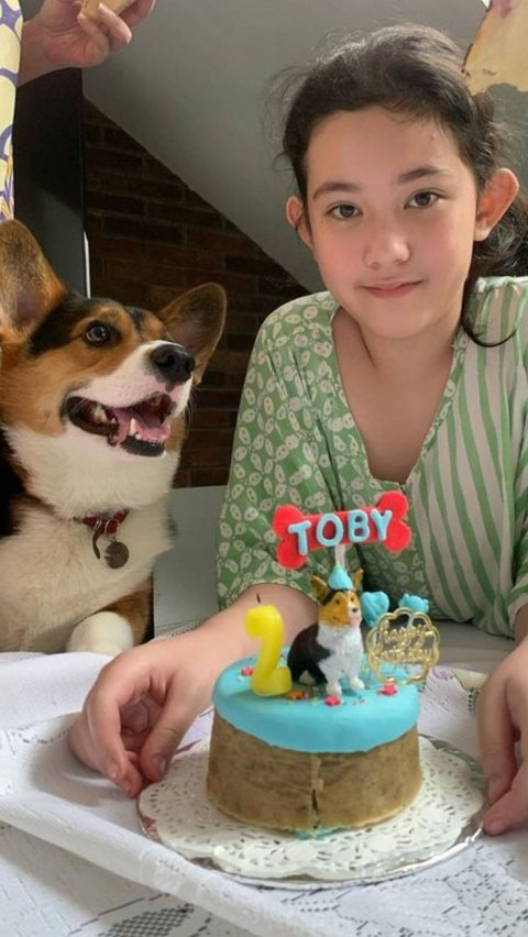 Mikha memiliki seorang anjing yang diberi nama Toby.