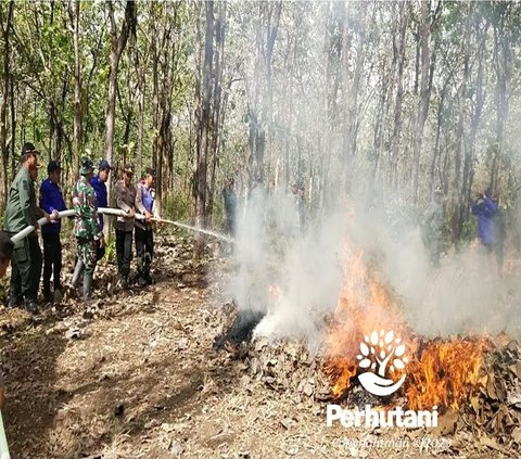 Lahan Petak 47J milik Perum Perhutani Kesatuan Pemangkuan Hutan Banyumas Barat di wilayah Kecamatan Karangpucung, Kabupaten Cilacap, Provinsi Jawa Tengah, mengalami kebakaran pada Sabtu (5/8/2023) malam.