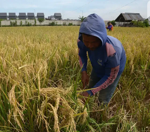 Rekrut 7 Anggota Keluarga untuk Bekerja di Malaysia, Wanita di Ogan Ilir Terjerat Pidana Perdagangan Orang