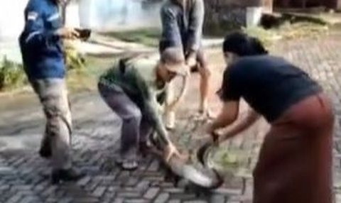 Bapak-bapak Ketakutan, Nyali Emak-emak Ini Bikin 'Harga Diri Pria Jatuh', Duel sama Ular lalu Menangkapnya di Lingkungan Komplek