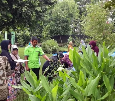 Mengunjungi Taman Herbal Insani Depok, Mengenal Tanaman Obat Sekaligus Praktik di Alam Terbuka