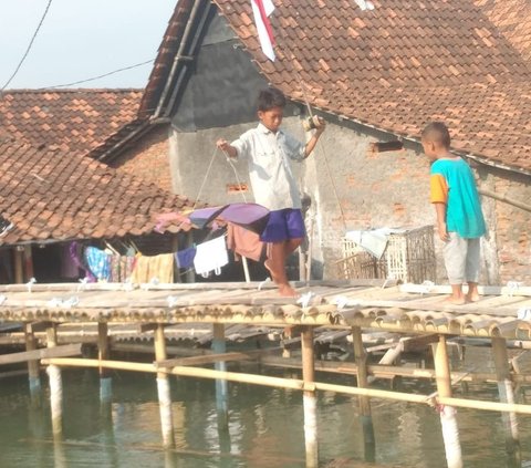 Menyusuri Cerita Pilu Desa di Pantura yang Nyaris Tenggelam