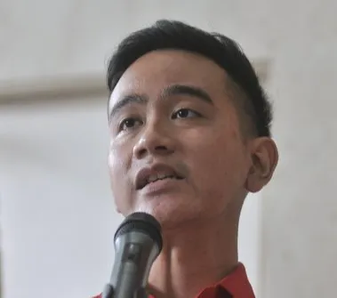 Gibran Siap Maju Pemilihan Gubernur jika Dapat Rekomendasi Megawati