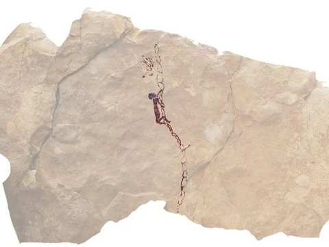Lukisan Gua Berusia 7.500 Tahun Bergambar Manusia Prasejarah Jago Memanjat Tali