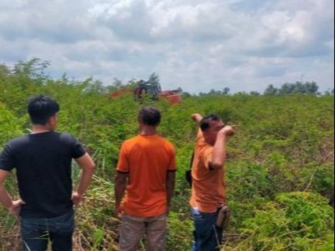 Rambah Hutan di Rohil, Operator Alat Berat Ditangkap sedangkan Pengusaha Masih Bebas