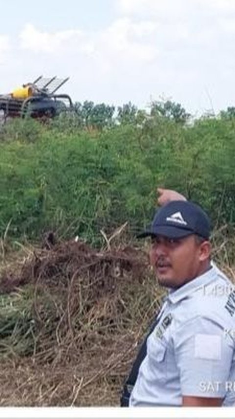 Rambah Hutan di Rohil, Operator Alat Berat Ditangkap sedangkan Pengusaha Masih Bebas