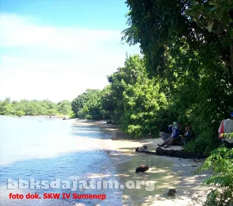 Mengunjungi Cagar Alam Pulau Saobi, Suaka Alam Tersembunyi di Sumenep