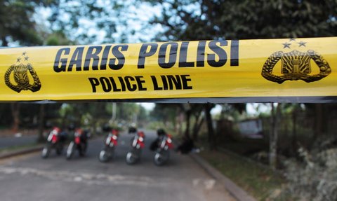 Driver Ojol di Bali Diduga Perkosa Turis Brasil, Begini Krolonoginya