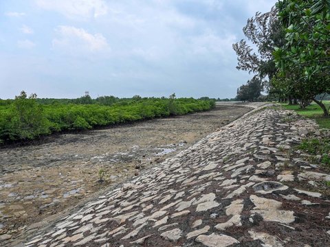 FOTO: Singapura Punya Pulau Terbuat dari Sampah di Dekat Indonesia, Begini Penampakannya