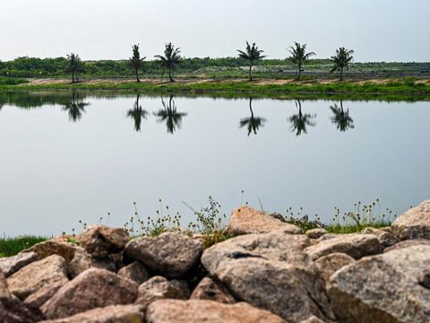 FOTO: Singapura Punya Pulau Terbuat dari Sampah di Dekat Indonesia, Begini Penampakannya
