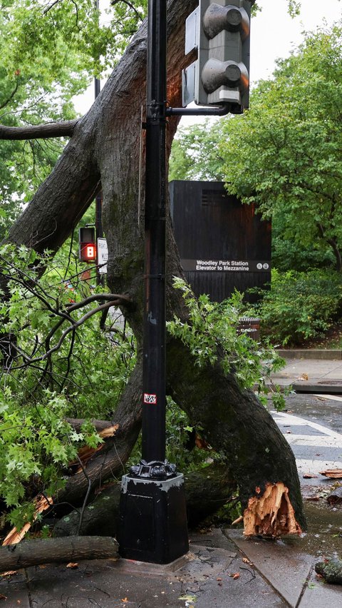 Sementara itu beberapa pohon besar juga tumbang di Washington, DC.<br /><br />Tumbangnya pohon-pohon itu sempat membuat jalan raya di kawasan itu menjadi terhambat.