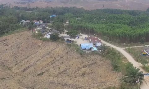 Canggih, Jalan Tol di IKN Nusantara Bisa Jadi Landasan Pacu Pesawat