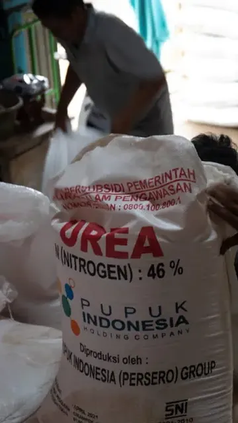 Petani Bisa Lapor ke Nomor Ini Jika Temukan Harga Pupuk Subsidi Lebih Mahal dari HET