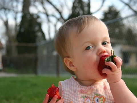 Ukuran Finger Food Bayi