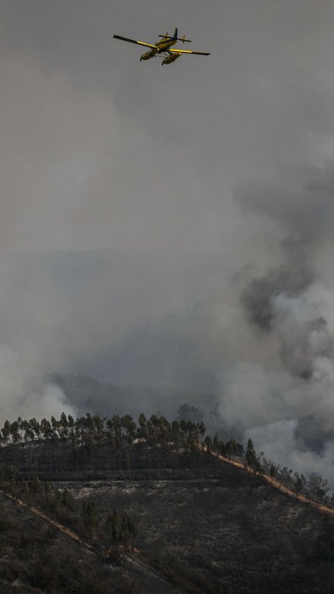 Peran pesawat pemadam kebakaran masih diandalkan untuk menjatuhkan air di atas api yang membakar lahan hutan di Odeceixe, selatan Portugal.