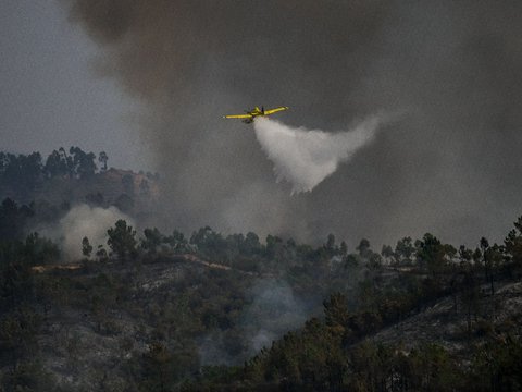 FOTO: Amukan Si Jago Merah Terus Menghanguskan Isi Hutan Portugal, Suhu Panas Ekstrem Jadi Penyebabnya