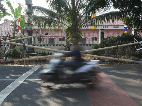 FOTO: Pohon Pinang Mulai Ramai Dijual Jelang 17 Agustus, Segini Harganya