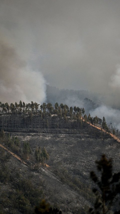 Temperatur tinggi dan angin kencang mempersulit upaya pemadaman api yang telah menghanguskan sekitar 6.700 hektare lahan.