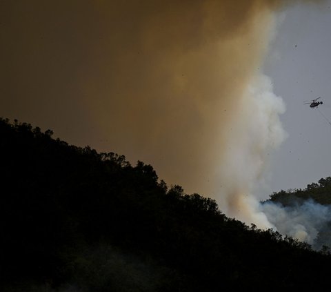 FOTO: Amukan Si Jago Merah Terus Menghanguskan Isi Hutan Portugal, Suhu Panas Ekstrem Jadi Penyebabnya