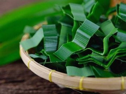 12. Daun Pandan