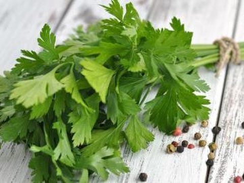 15. Daun Parsley