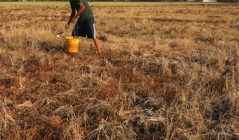 Sehingga kekeringan ini sangat berpengaruh pada perekonomian masyarakat khususnya petani, karena sumber pendapatan mereka mati.