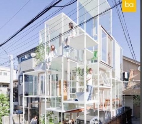 Appearance of Transparent House that Can Be Seen Through, Inspired by Trees!