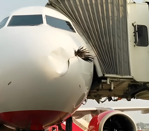 Viral! Collision with Small Bird, This Ton-Heavy Plane's Nose is Dented and Holed