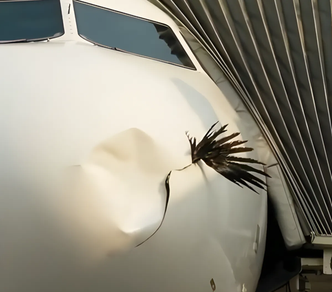 Viral! Collision with Small Bird, This Ton-Heavy Plane's Nose is Dented and Holed