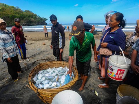 FOTO: Fenomena El Nino Membawa Berkah Bagi Nelayan Jaring Tarik di Trenggalek