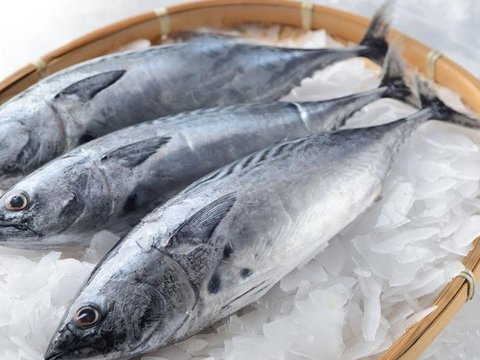 5. Ikan Tuna: Omega-3 untuk Perkembangan Otak