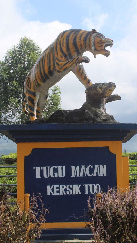 Viral Balita Diajak Mendaki Gunung Kerinci Saat Kabut Tebal, Ini Penjelasan Pengelola