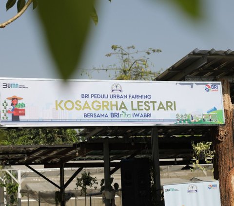 BRI Peduli Inspirasi Bertani di Kota (BRInita) Kembangkan Urban Farming di Lahan Sempit