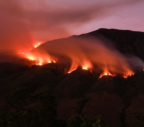 Kebakaran hutan dan lahan (karhutla) hingga kini masih terjadi di kawasan Gunung Bromo, Jawa Timur.<br><br>Kobaran api yang muncul sejak beberapa hari yang lalu itu terlihat masih membara di Taman Nasional Bromo Tengger Semeru.